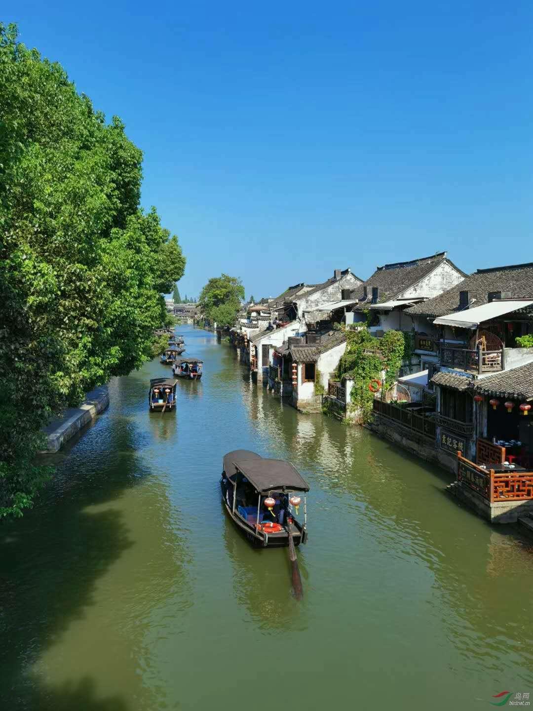探索华为畅享50怎么选择哪张卡打电话?红迪网 - 分享和讨论热门话题的社区平台